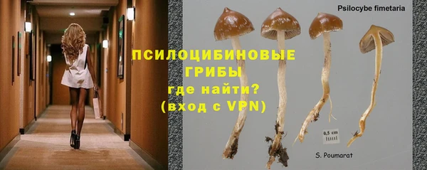 тгк Абинск