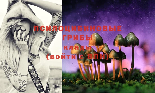 тгк Абаза