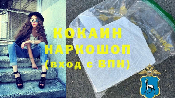 тгк Абаза