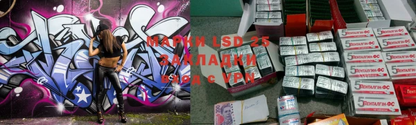 тгк Абаза