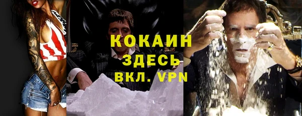 тгк Абаза